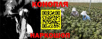 a pvp Пушкино