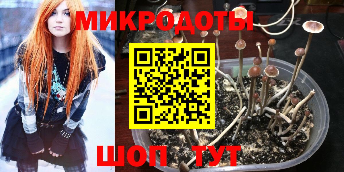 Галлюциногенные грибы Psilocybe  Вход с VPN  наркота  Сызрань 